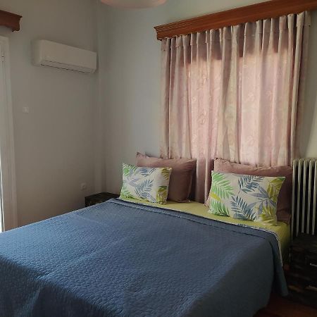 Helen'S Downtown Apartment Ioannina Bagian luar foto